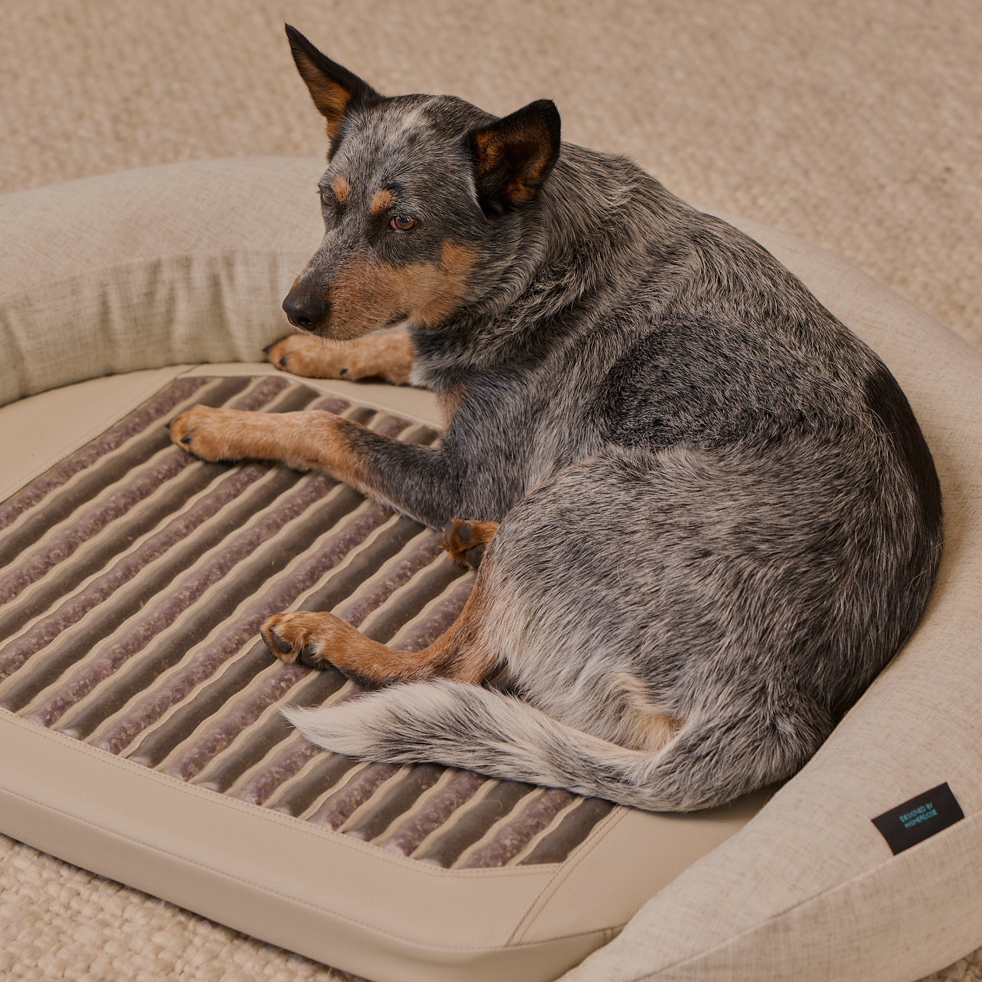 HigherDOSE Infrared PEMF Pet Bed
