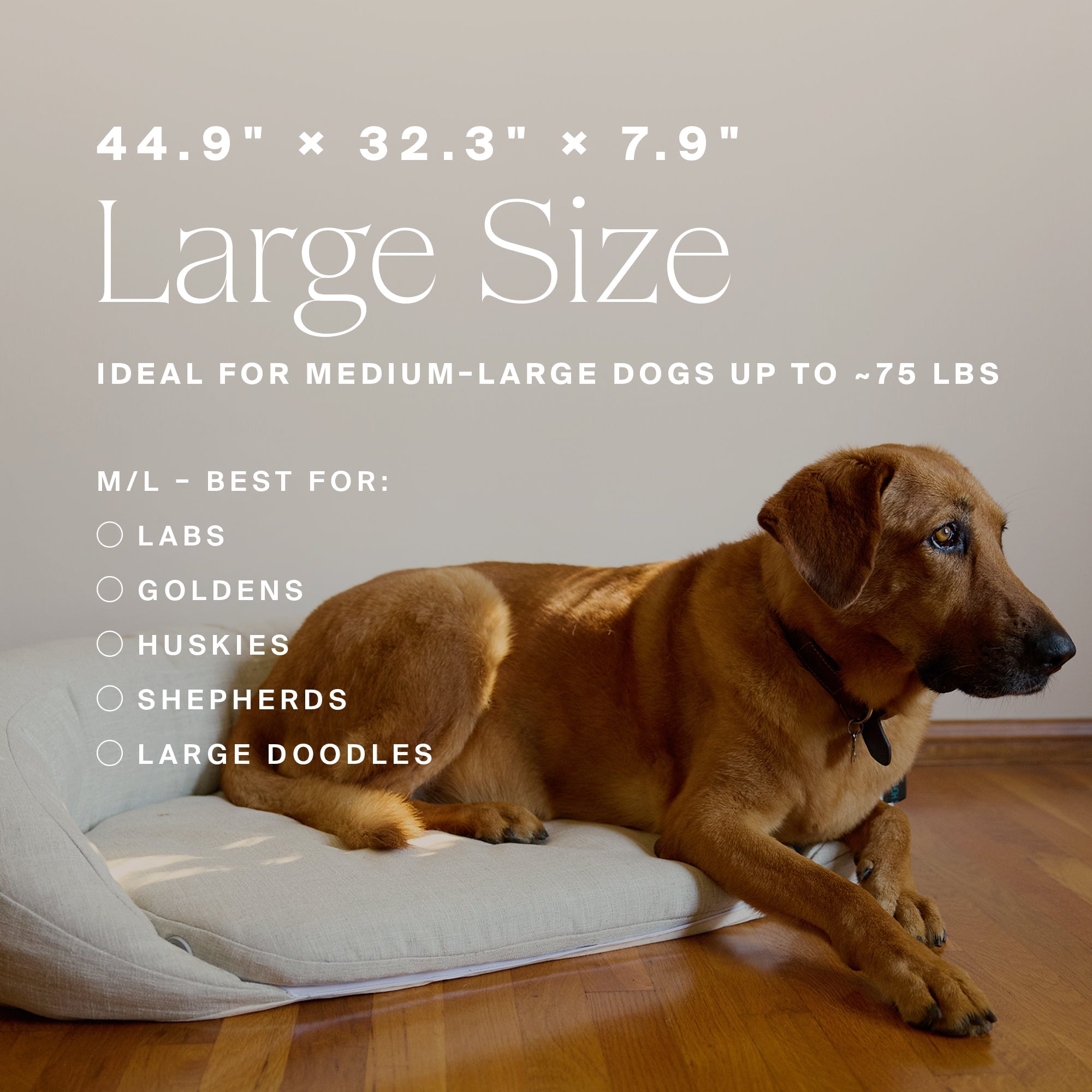 HigherDOSE Infrared PEMF Pet Bed