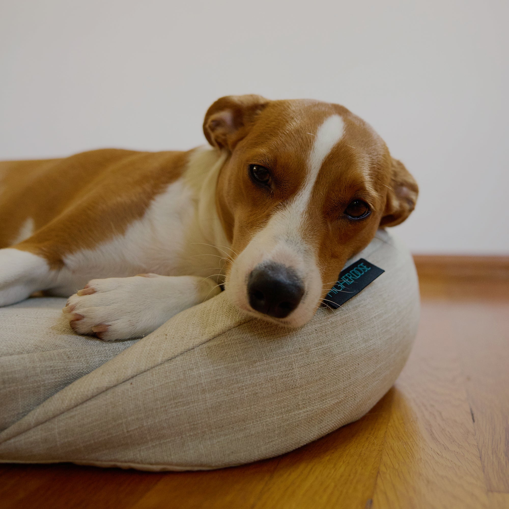 HigherDOSE Infrared PEMF Pet Bed