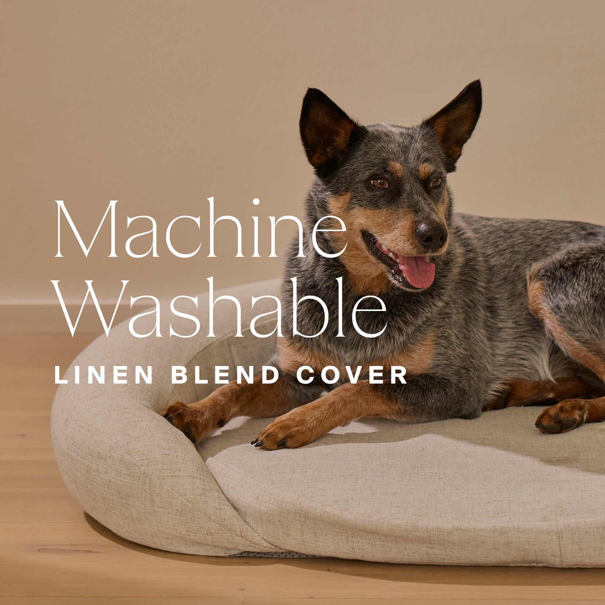 HigherDOSE Infrared PEMF Pet Bed