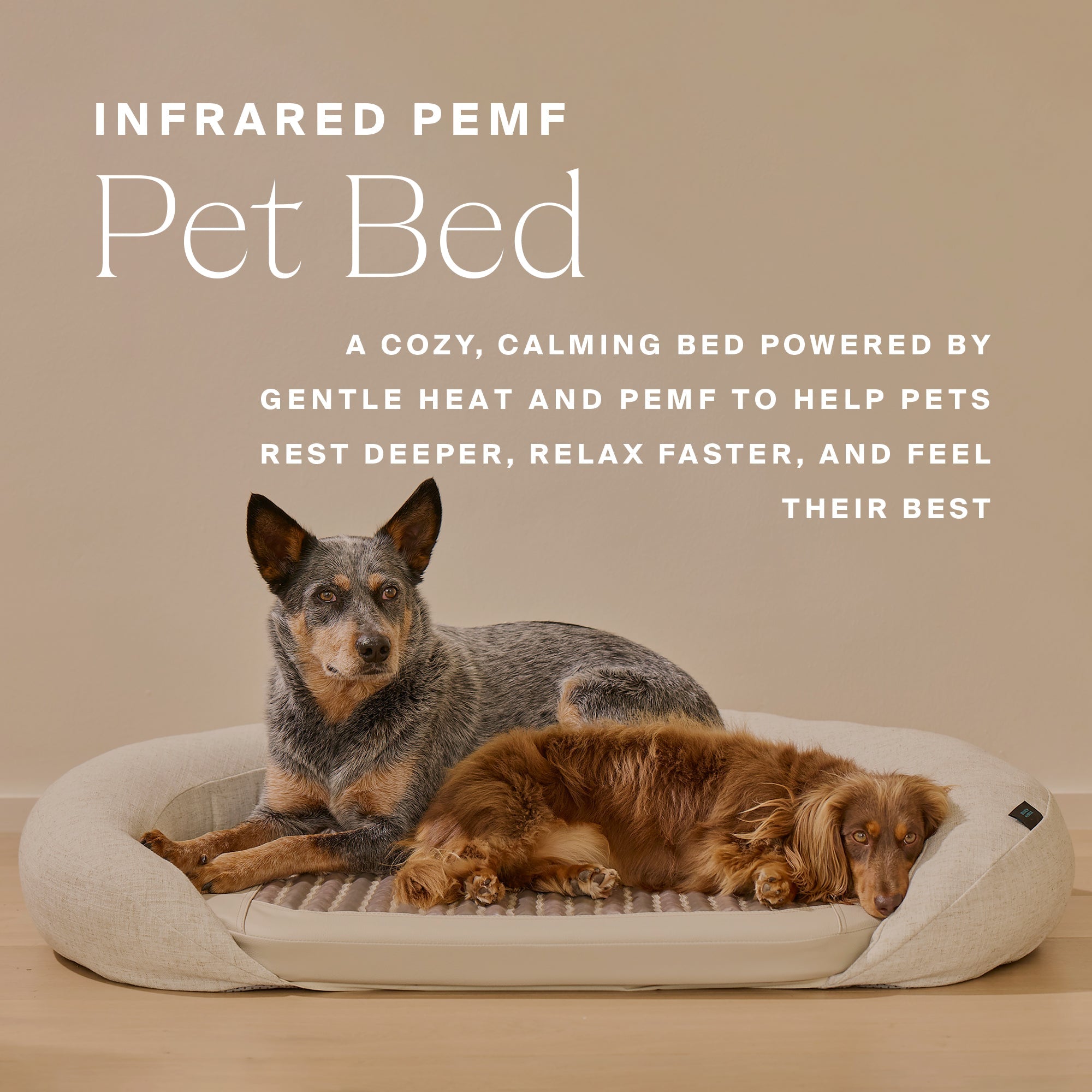 HigherDOSE Infrared PEMF Pet Bed