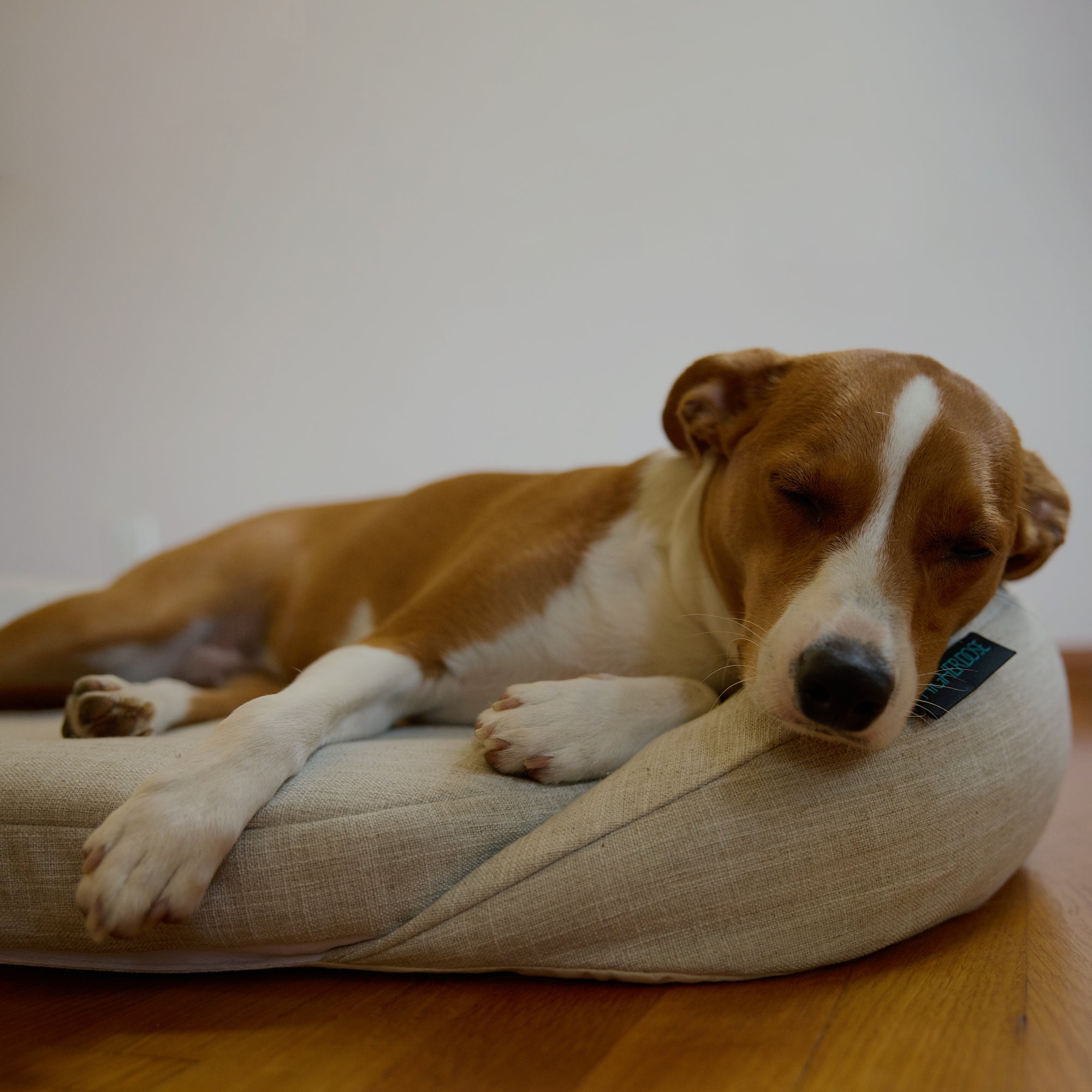 HigherDOSE Infrared PEMF Pet Bed