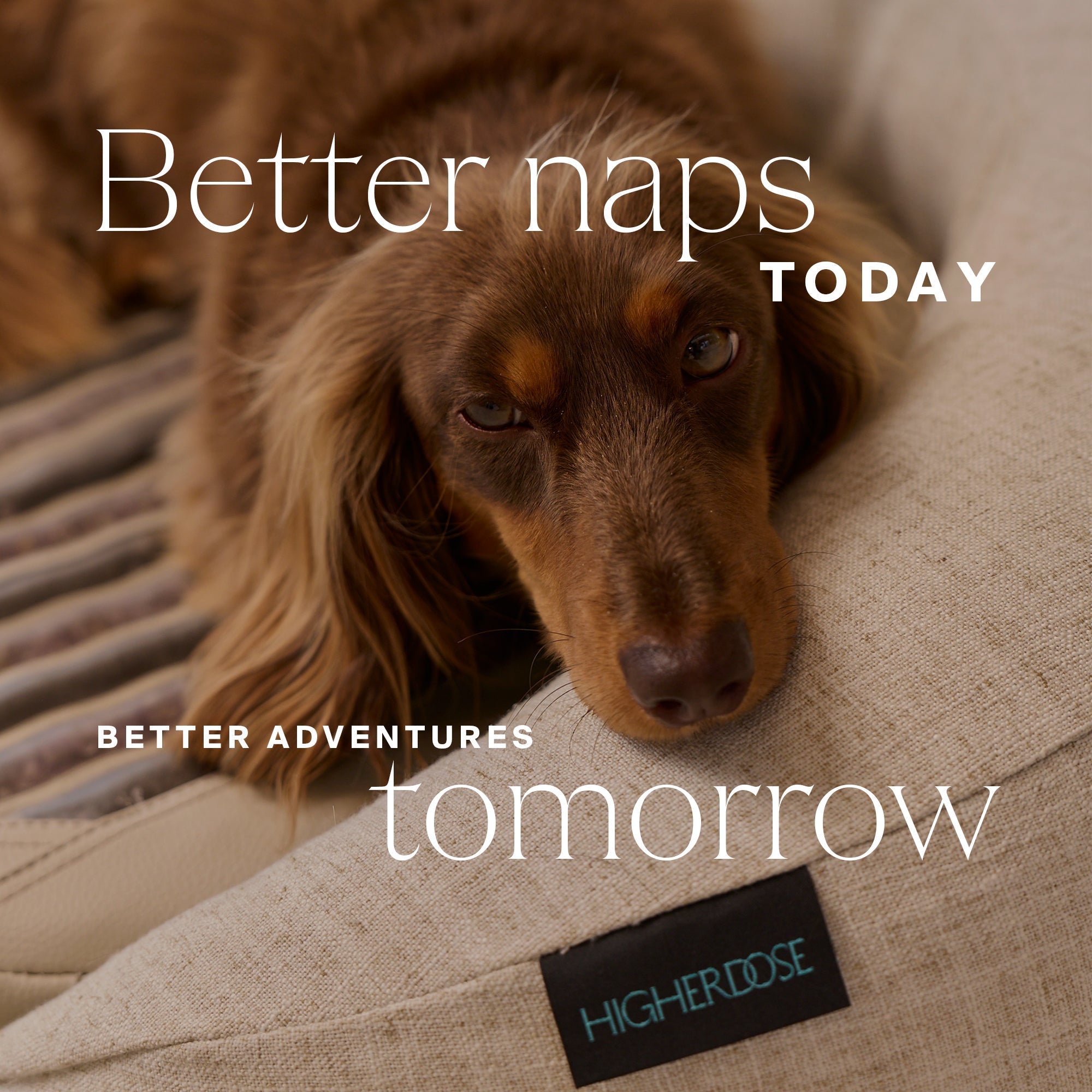 HigherDOSE Infrared PEMF Pet Bed