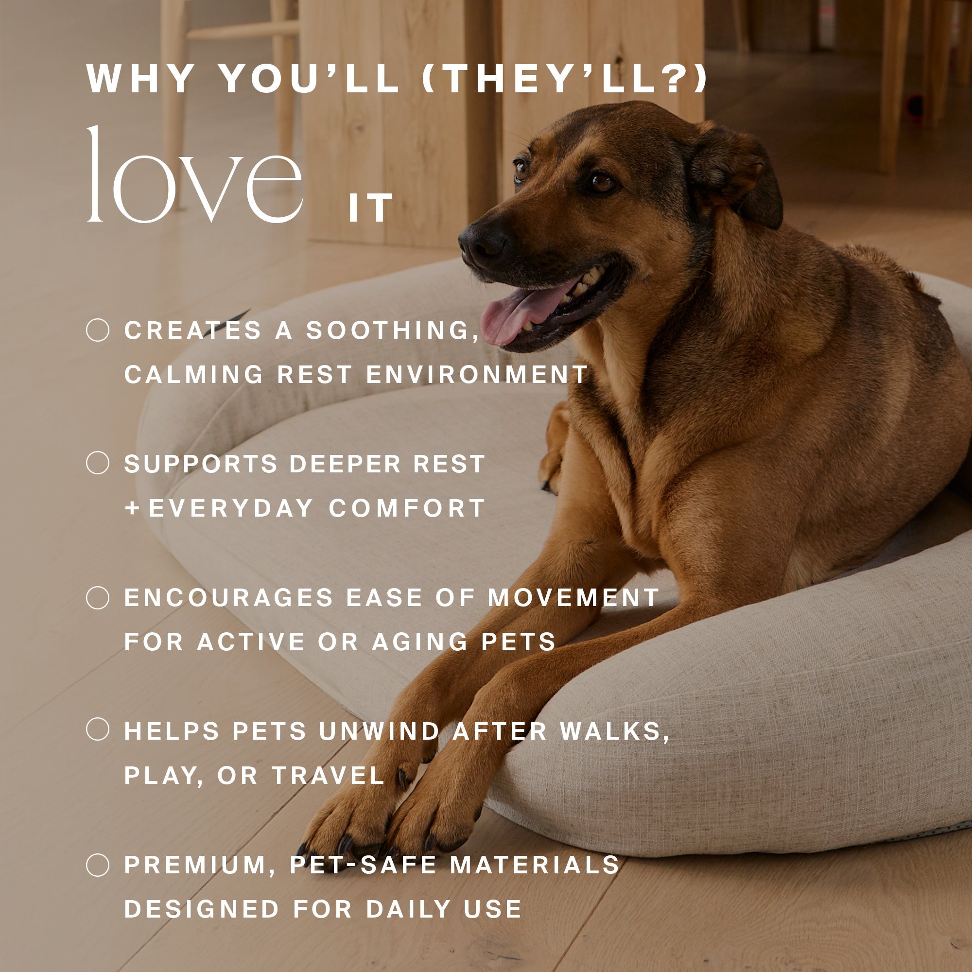 HigherDOSE Infrared PEMF Pet Bed