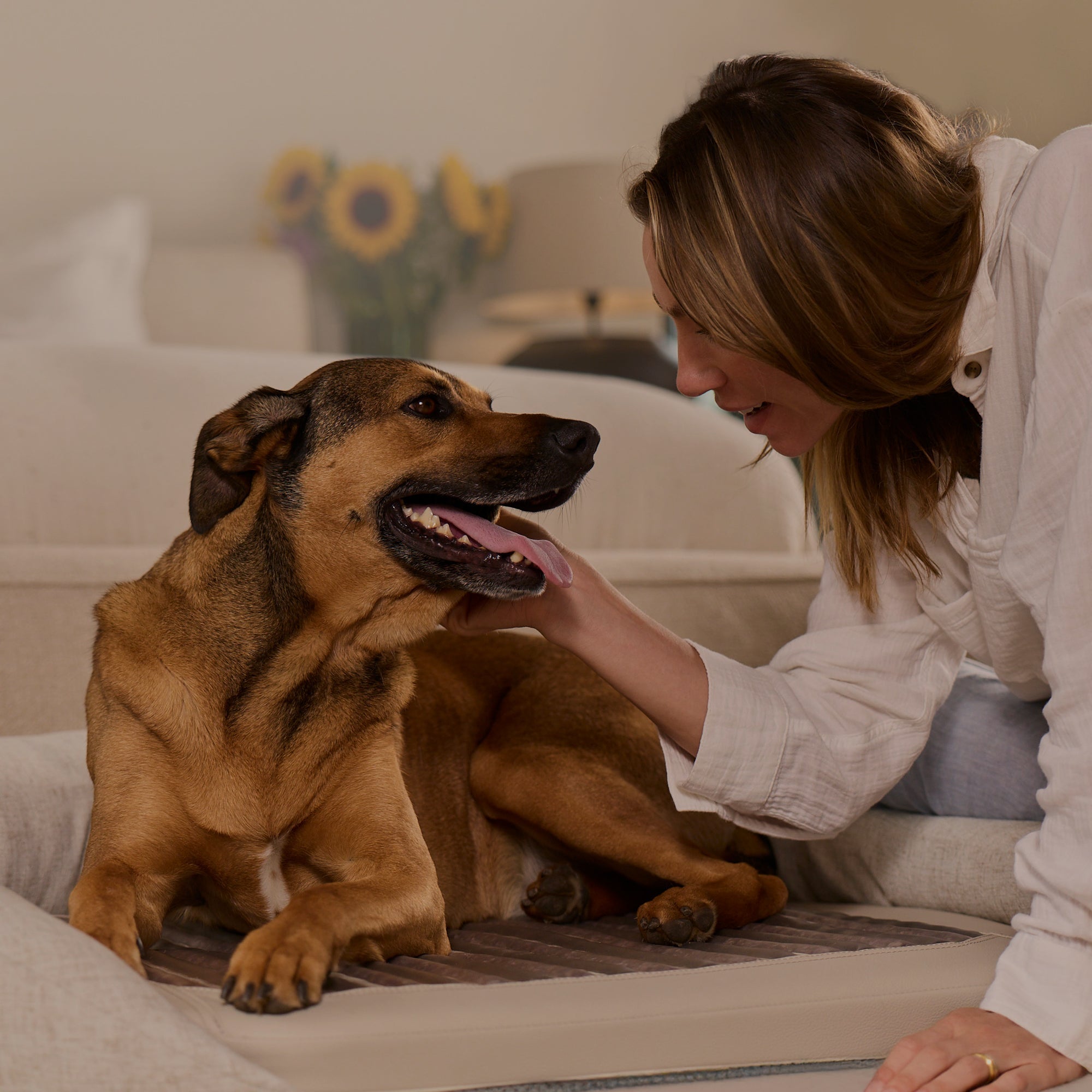 HigherDOSE Infrared PEMF Pet Bed