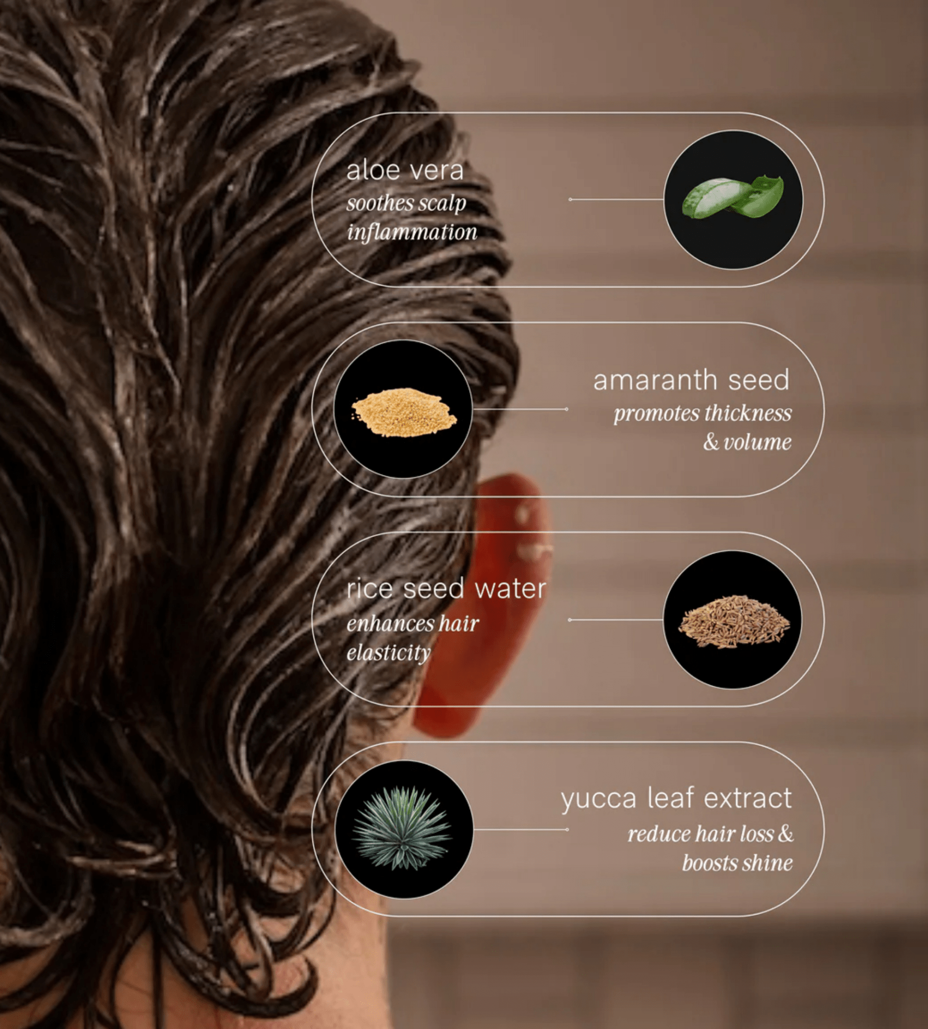 JACK HENRY Conditioner