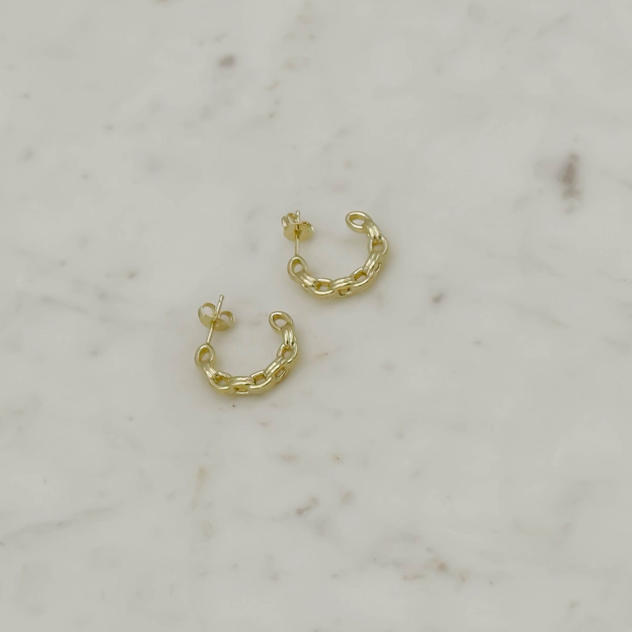 Jonesy Wood Sidney Chain Link Hoop Earring