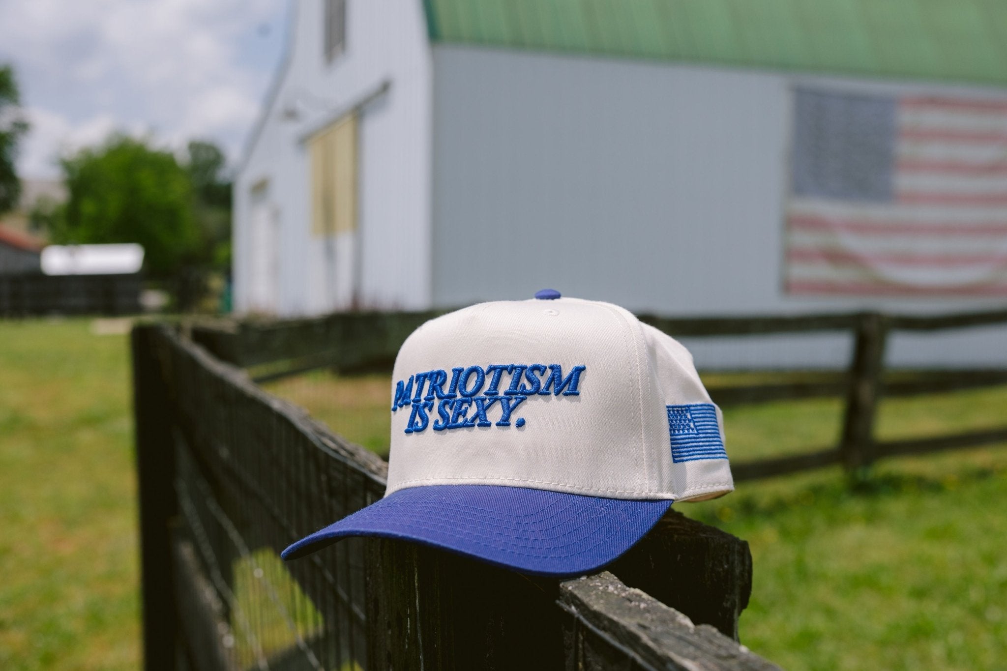 KenzKustomz Patriotism is Sexy. - Royal Blue Vintage Hat