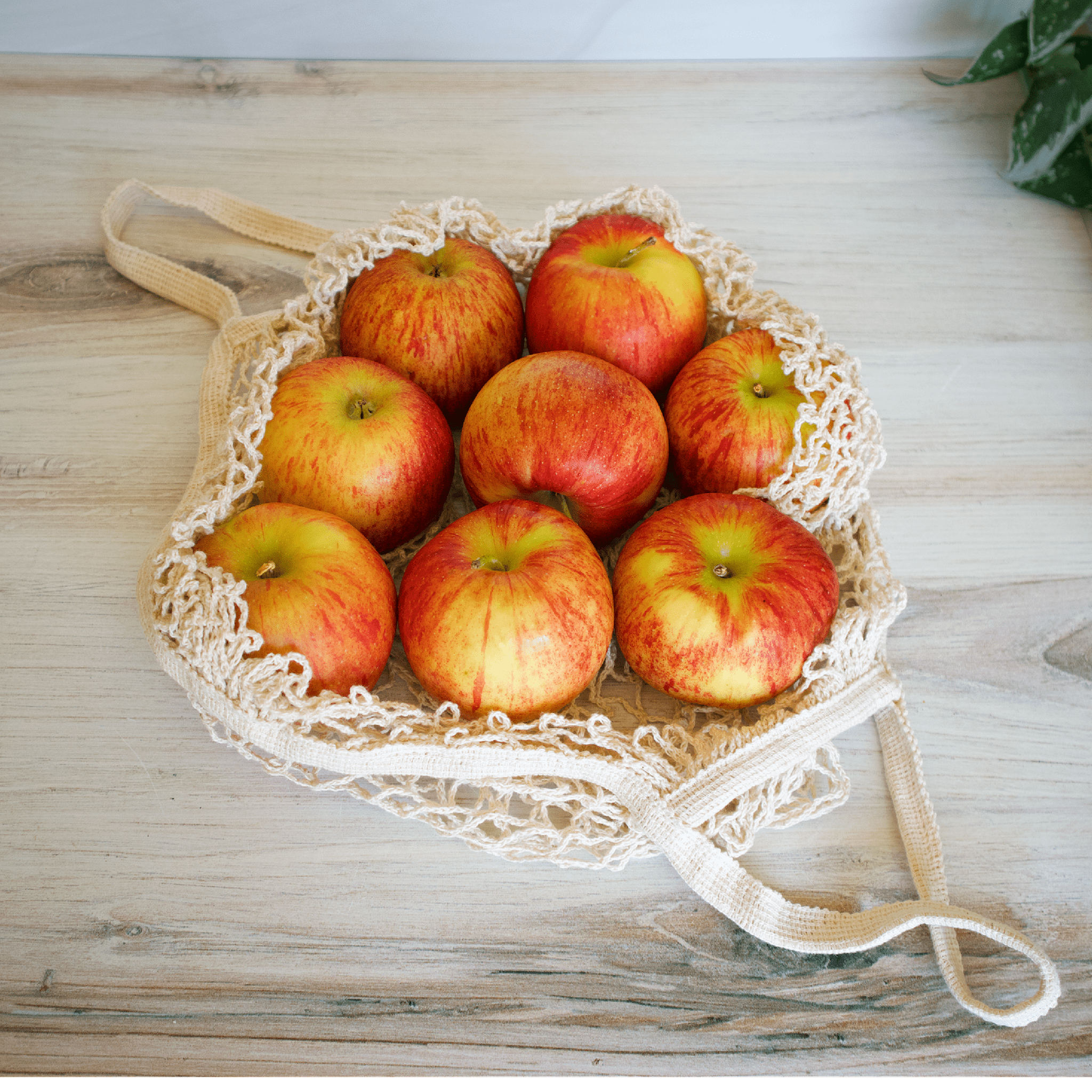 Love of Earth Co. LARGE Mesh Cotton Produce Bags