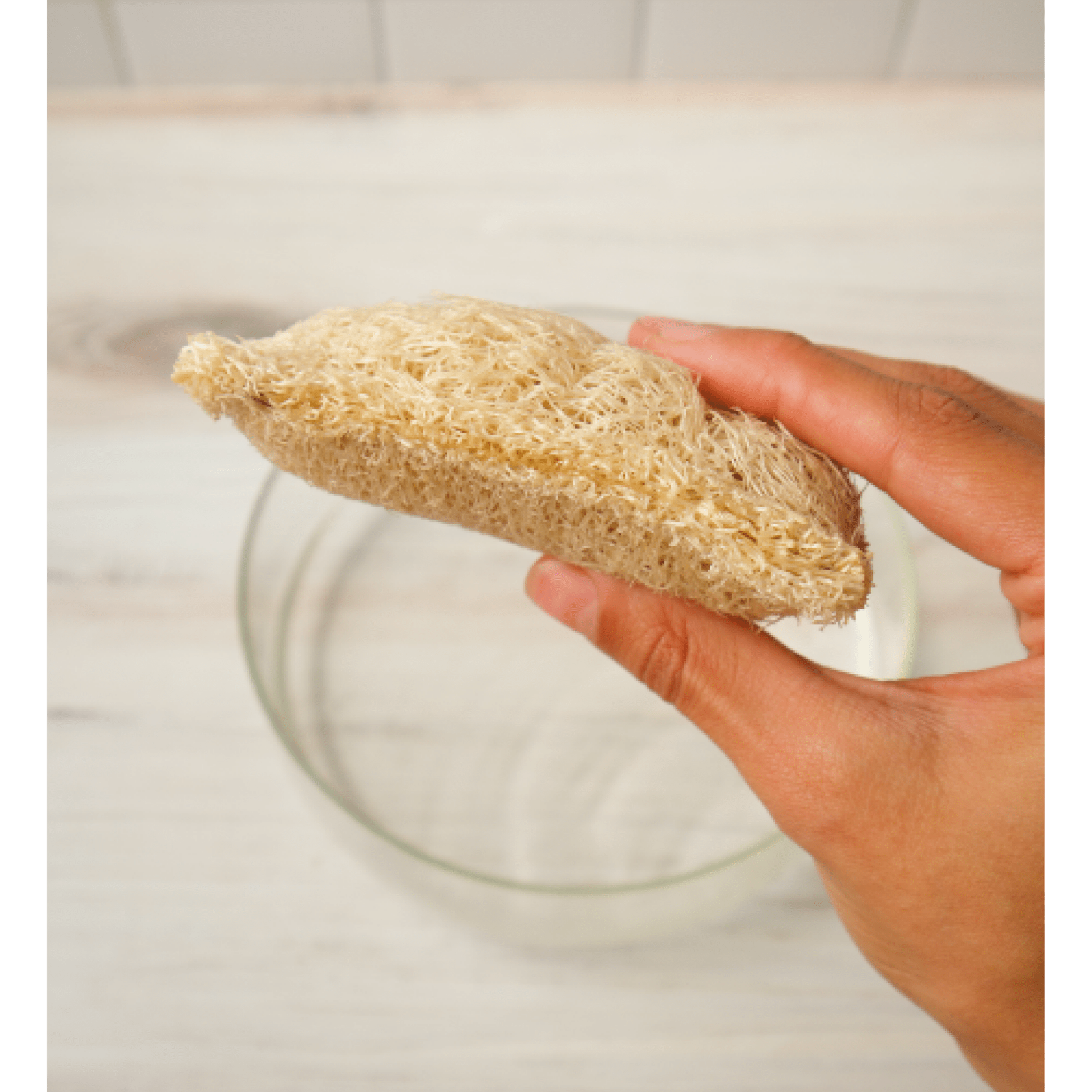 Love of Earth Co. Loofah Dish Sponges