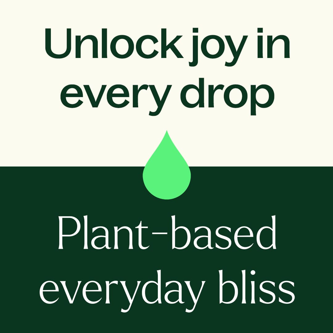 Plant Therapy Evoke Silky Twilight Body Oil