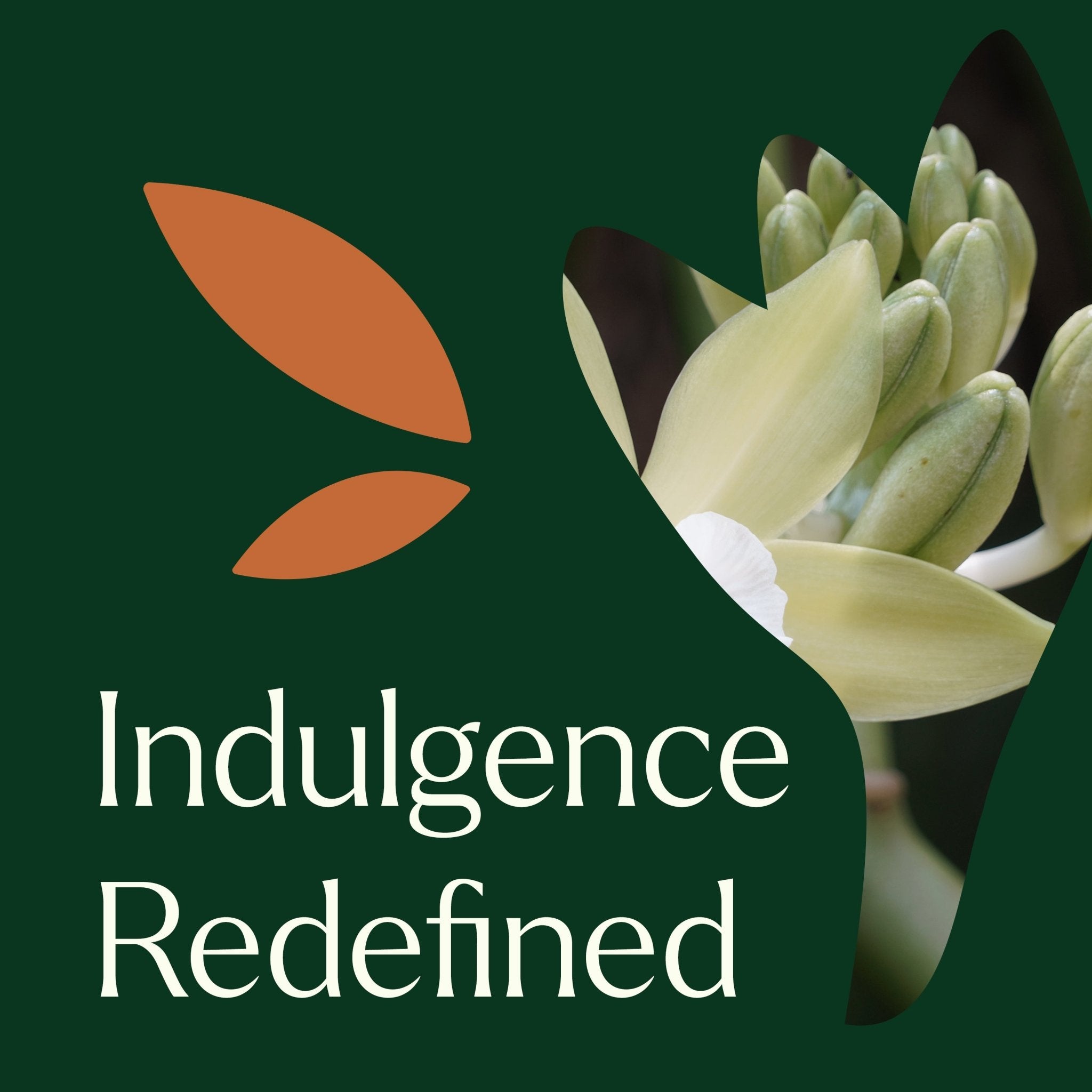 Plant Therapy Evoke Velvet Glow Body Oil