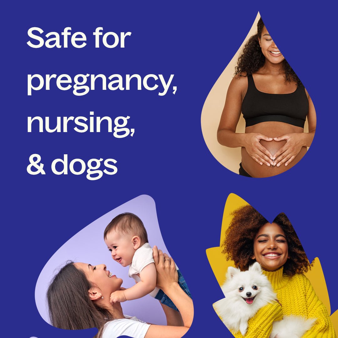 Plant Therapy Jasmine Grandiflorum Absolute