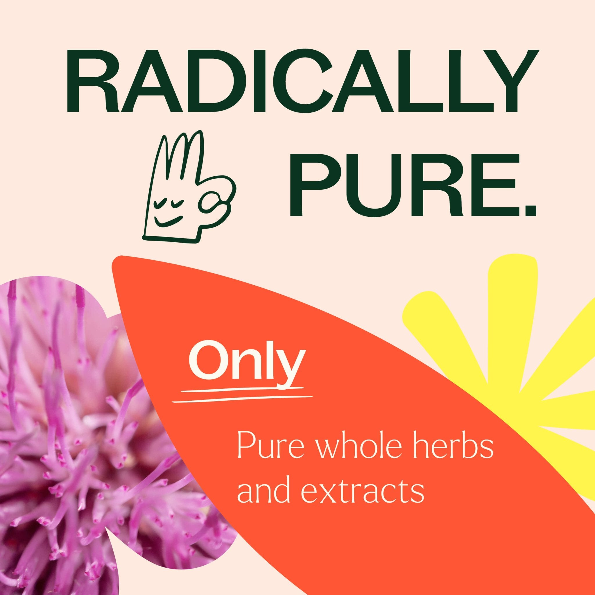 Plant Therapy Liver Tonic Herbal Supplement - 120 Capsules