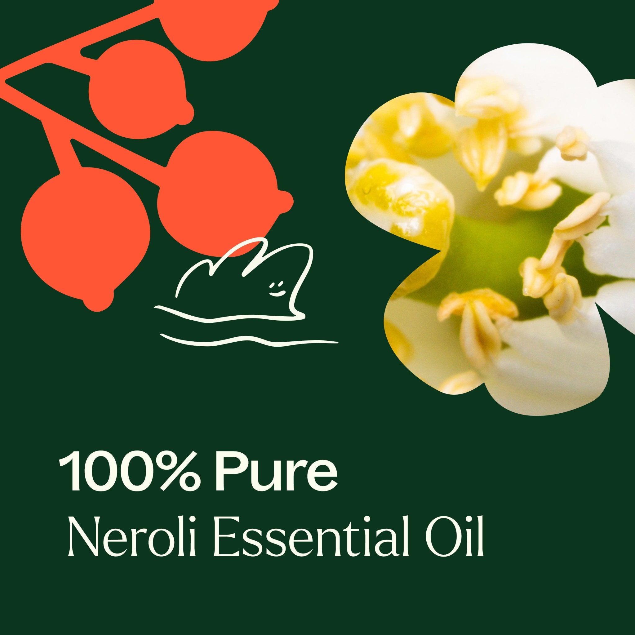 Plant Therapy Neroli Essential Oil