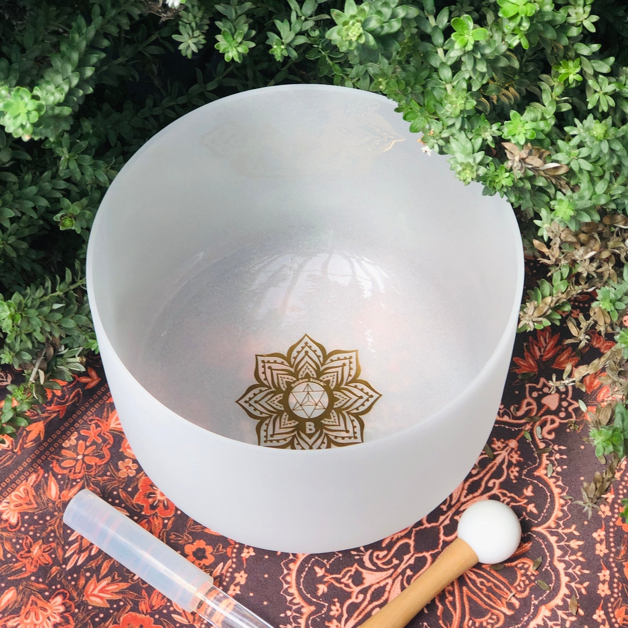 Rainbow Sounds USA Earth Star 10" Sound Therapy Bowl in Beige Carry Case