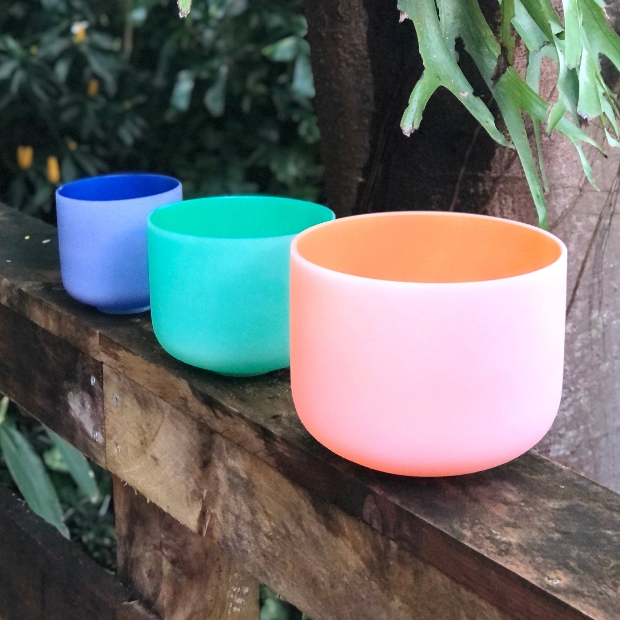 Rainbow Sounds USA Set of 3 Rainbow Color Sound Therapy Bowls in Beige Carry - On Case