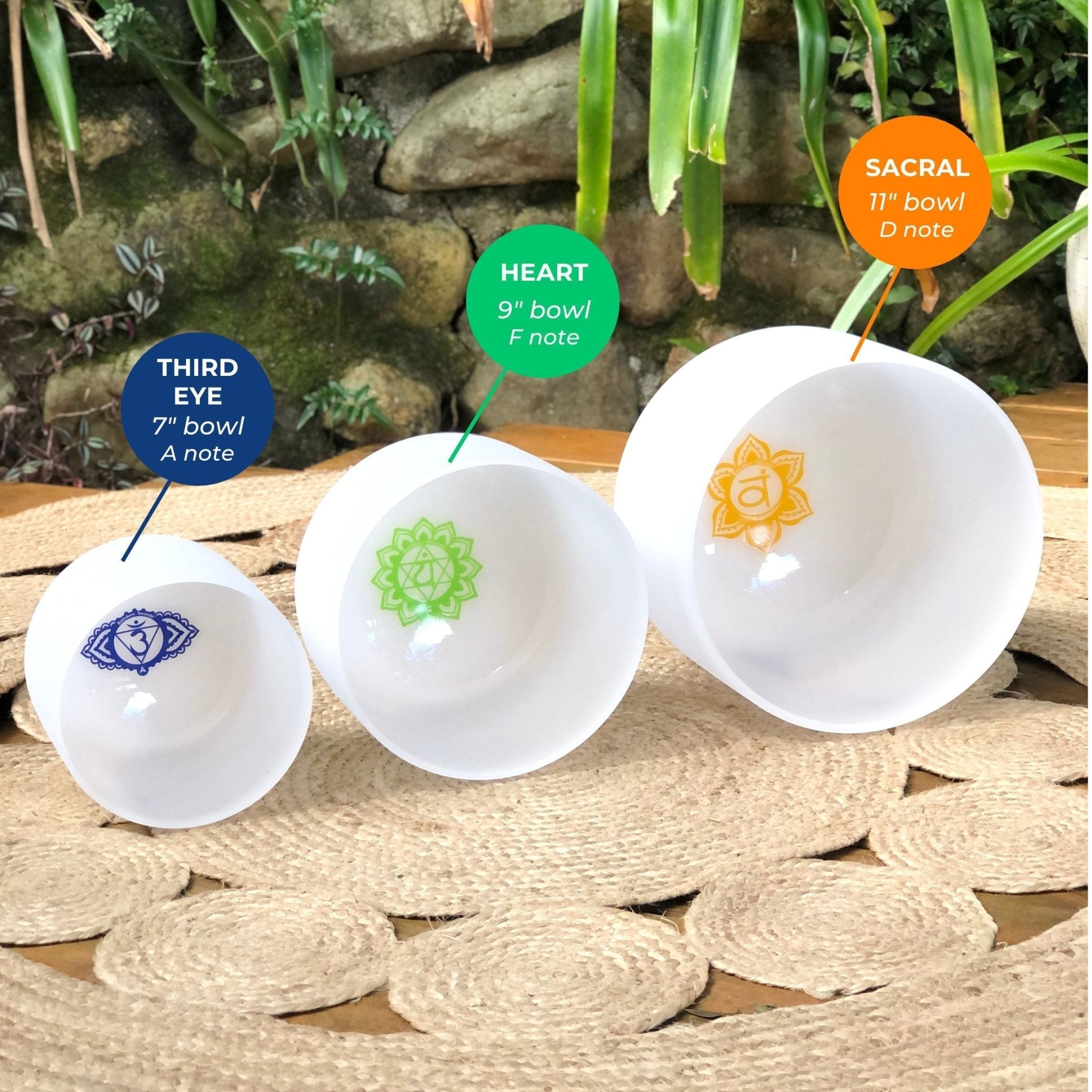 Rainbow Sounds USA Set of 3 White Sound Therapy Bowls in Beige Case