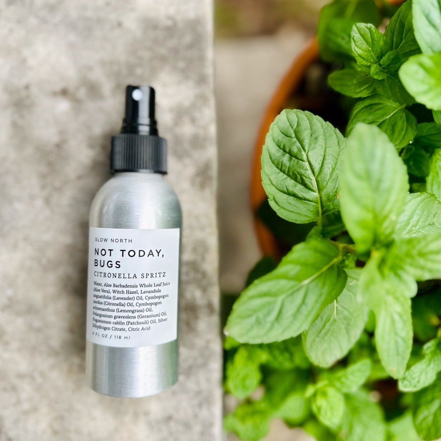 Slow North Not Today, Bugs - Bug Spray