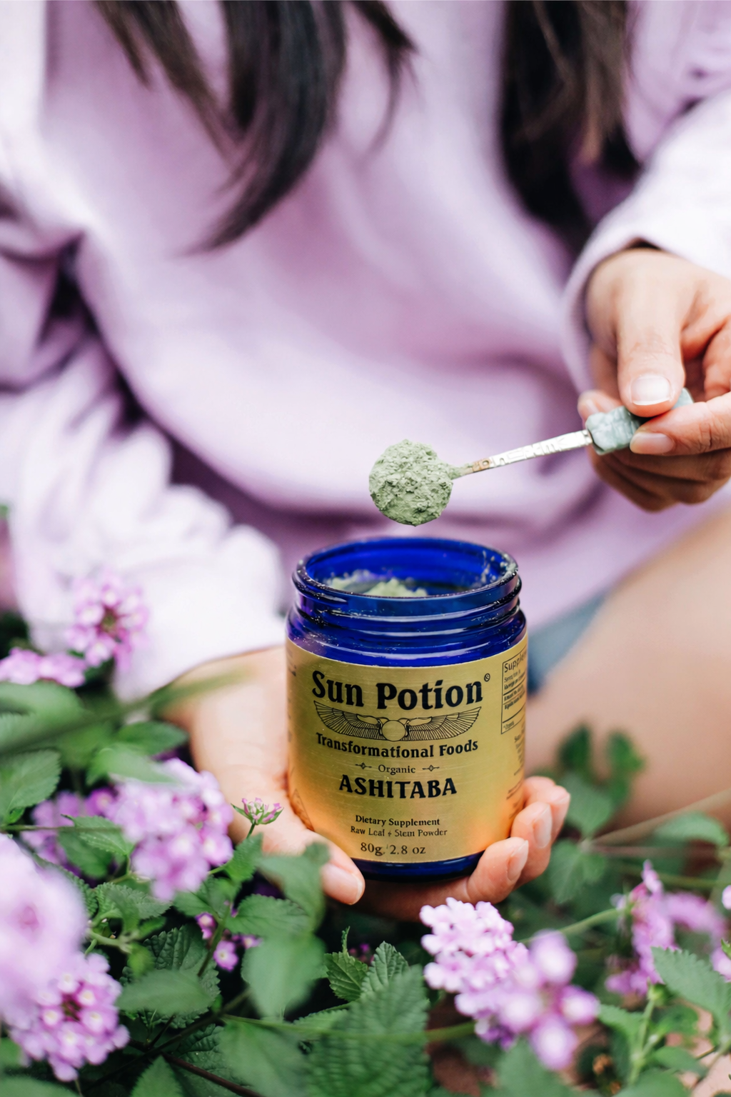 Sun Potion Ashitaba Leaf & Stem Powder (Wild Harvested)