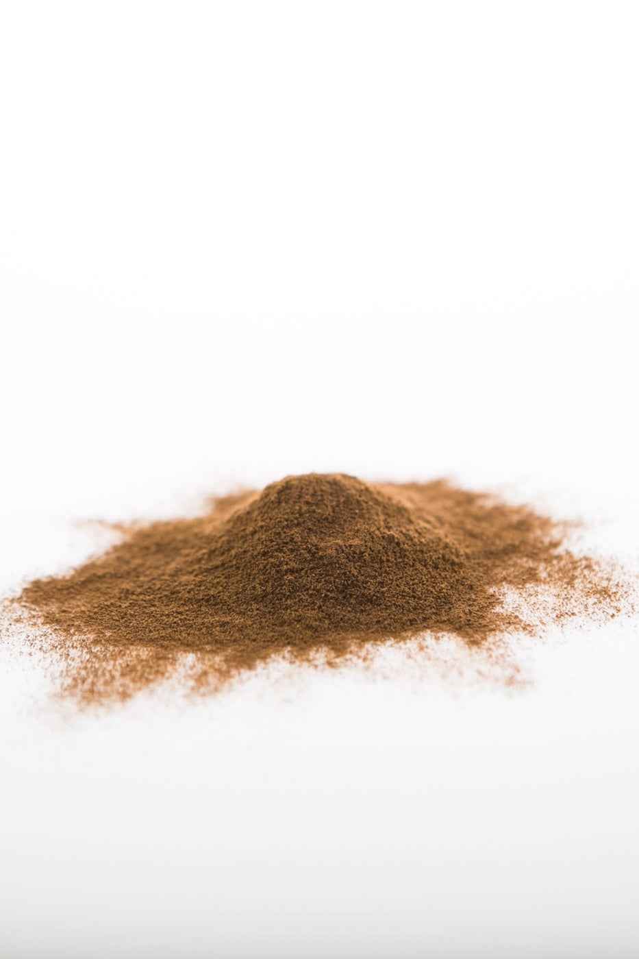 Sun Potion Chaga Mushroom Powder (Wildcrafted)