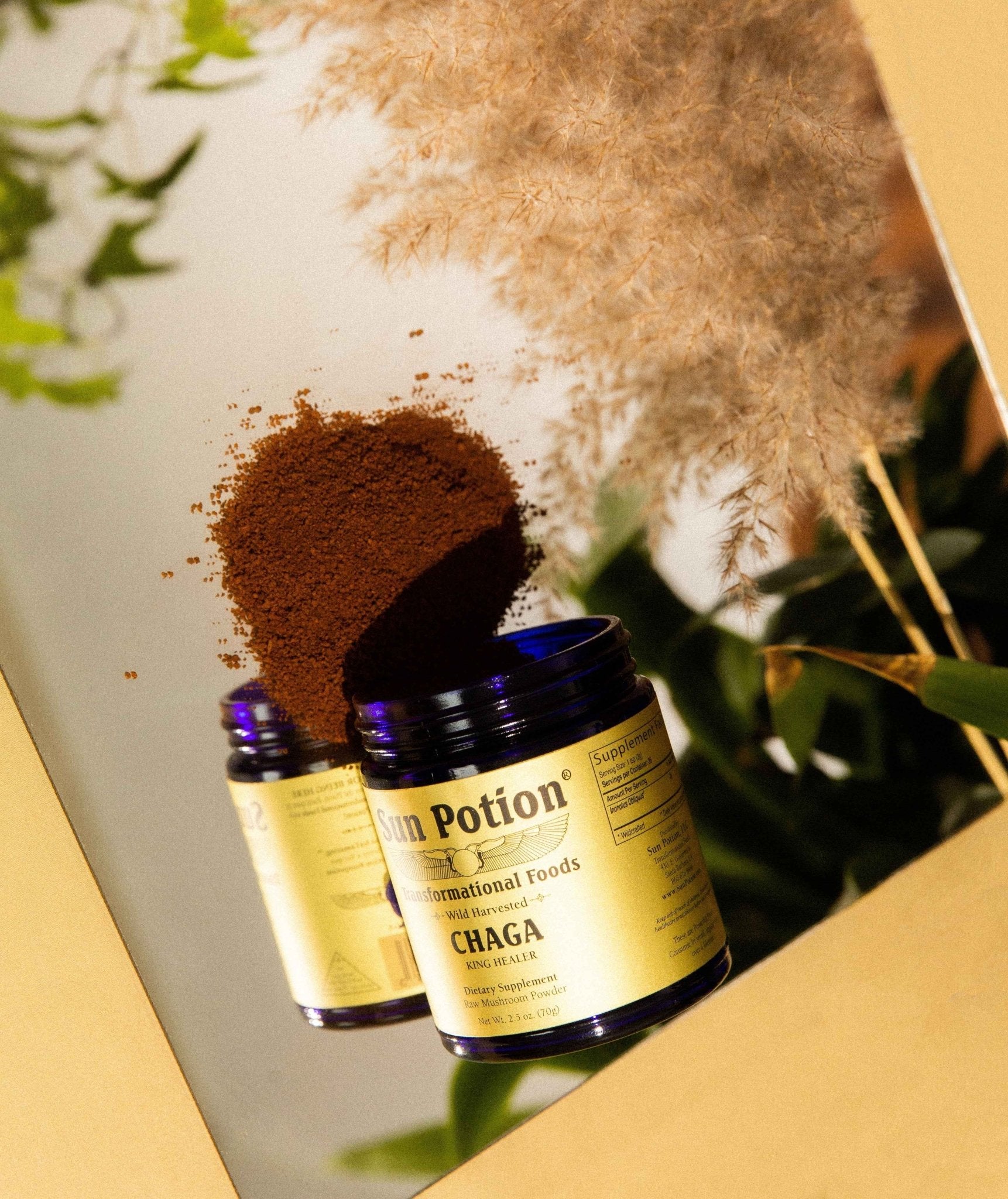 Sun Potion Chaga Mushroom Powder (Wildcrafted)