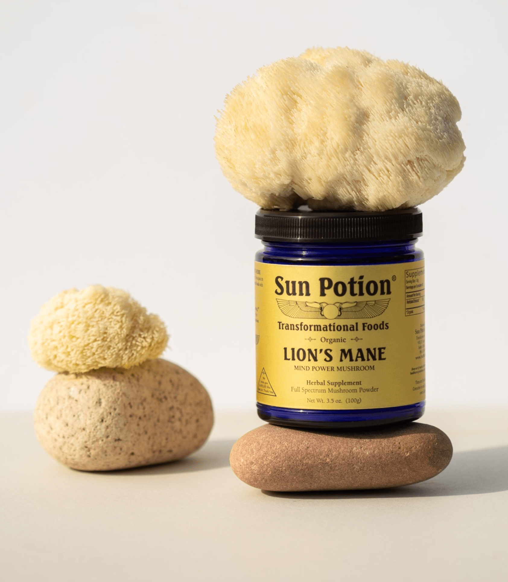 Sun Potion Lion's Mane (Organic) 100 grams