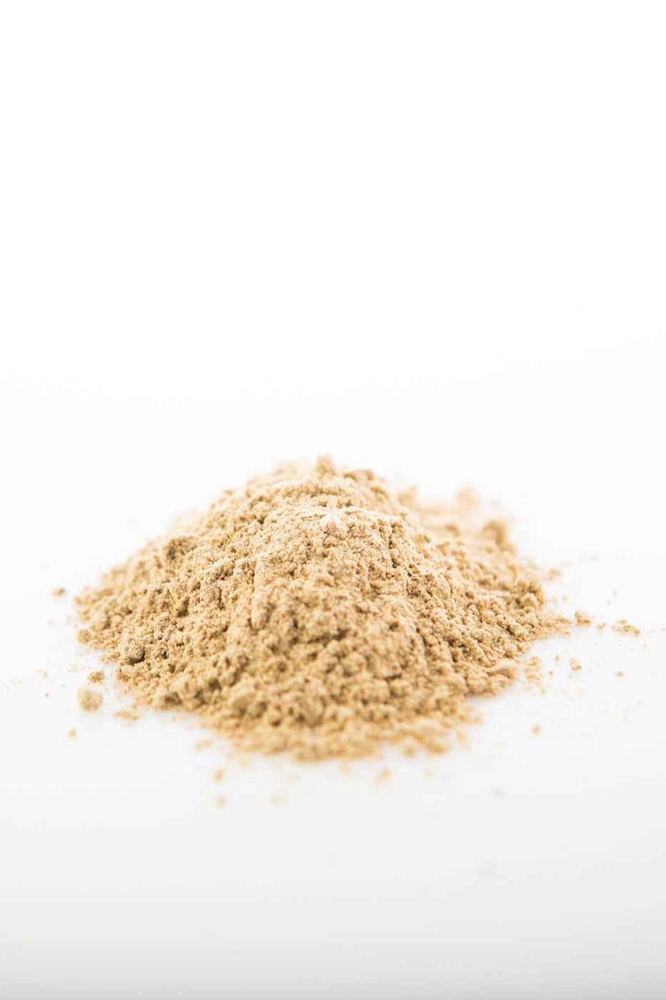 Sun Potion Reishi Mushroom Powder