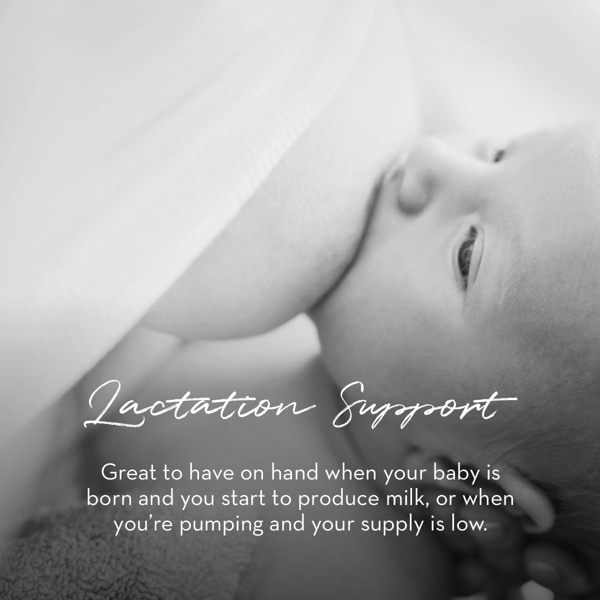 The Spoiled Mama Breastfeeding Bundle - Breastfeeding Tea + Lactation Support