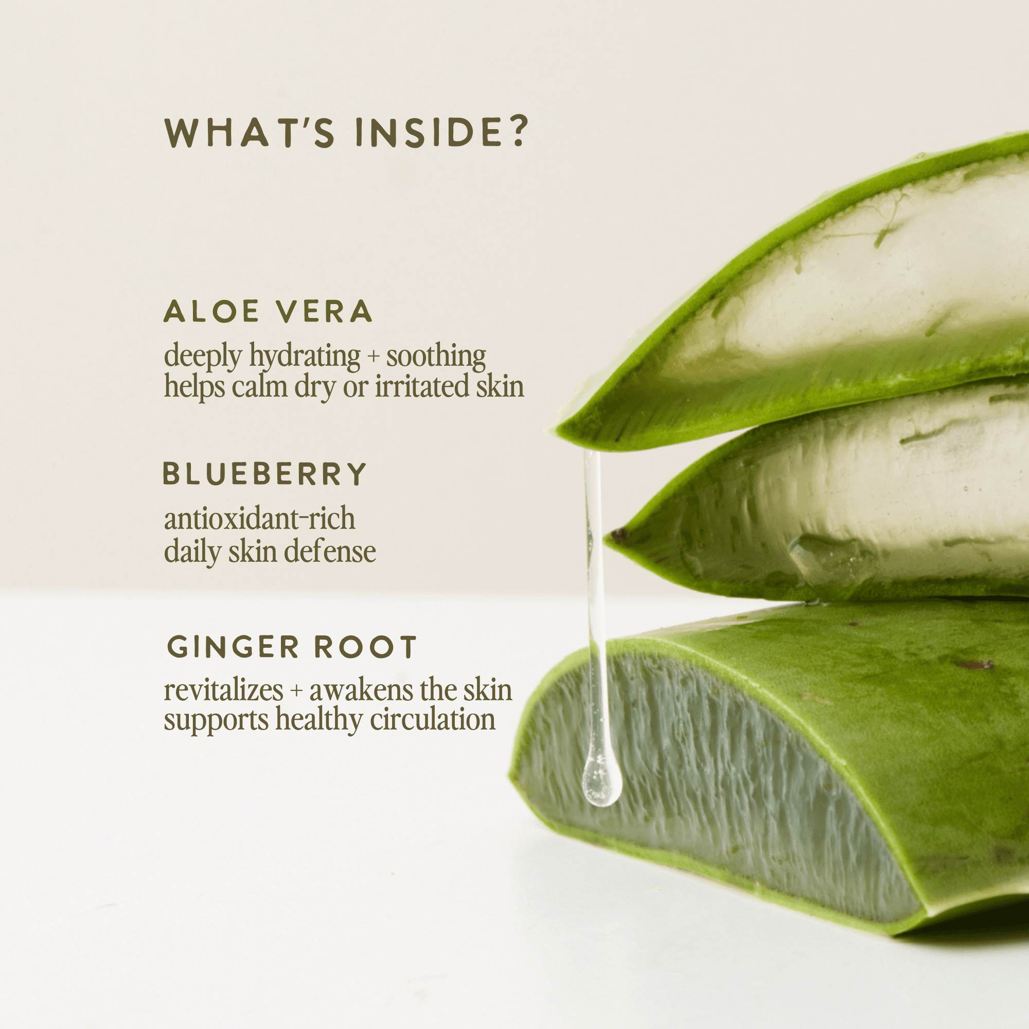 UNDER LUNA™ Aloe - Based Body Cleanser