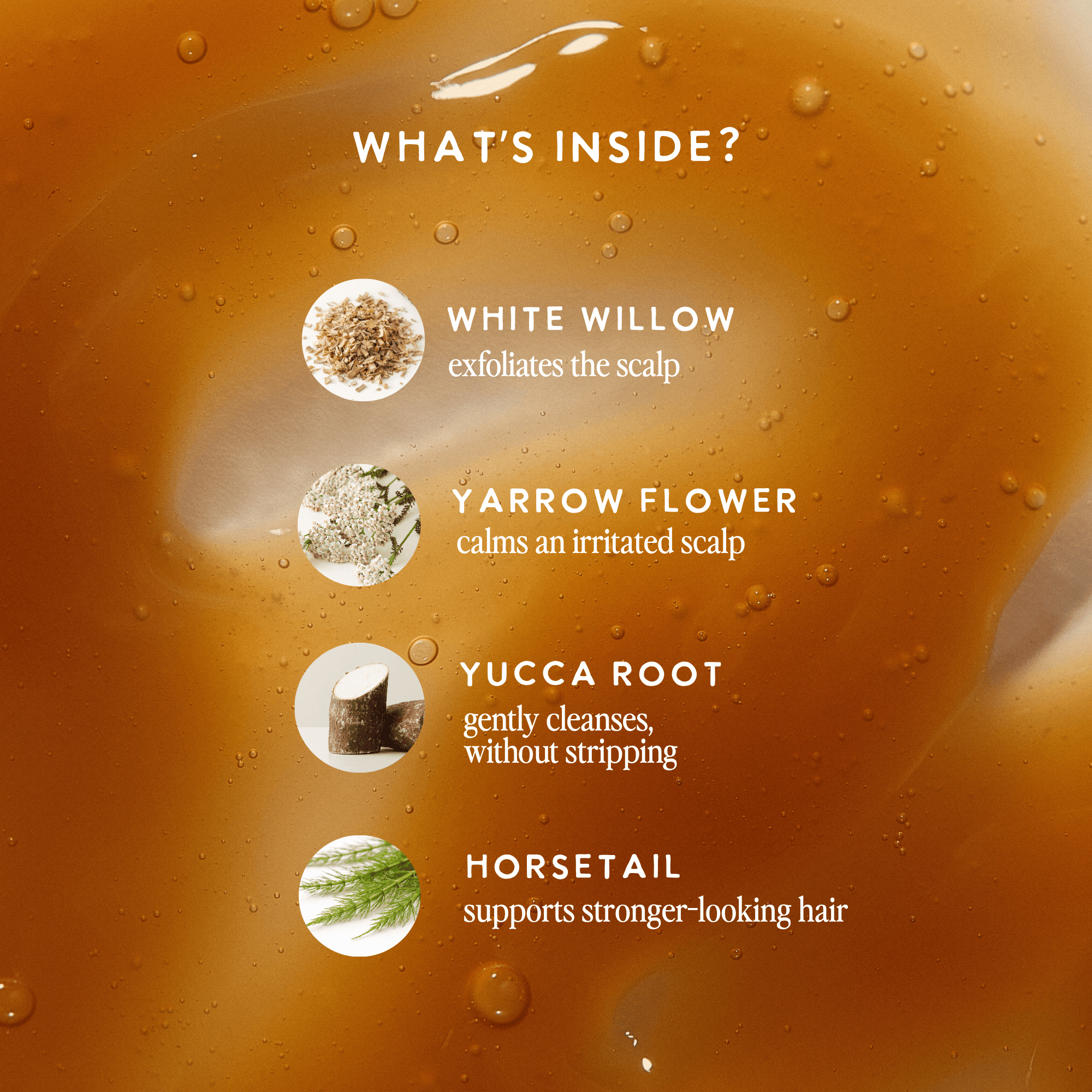 UNDER LUNA™ Warrior Shampoo