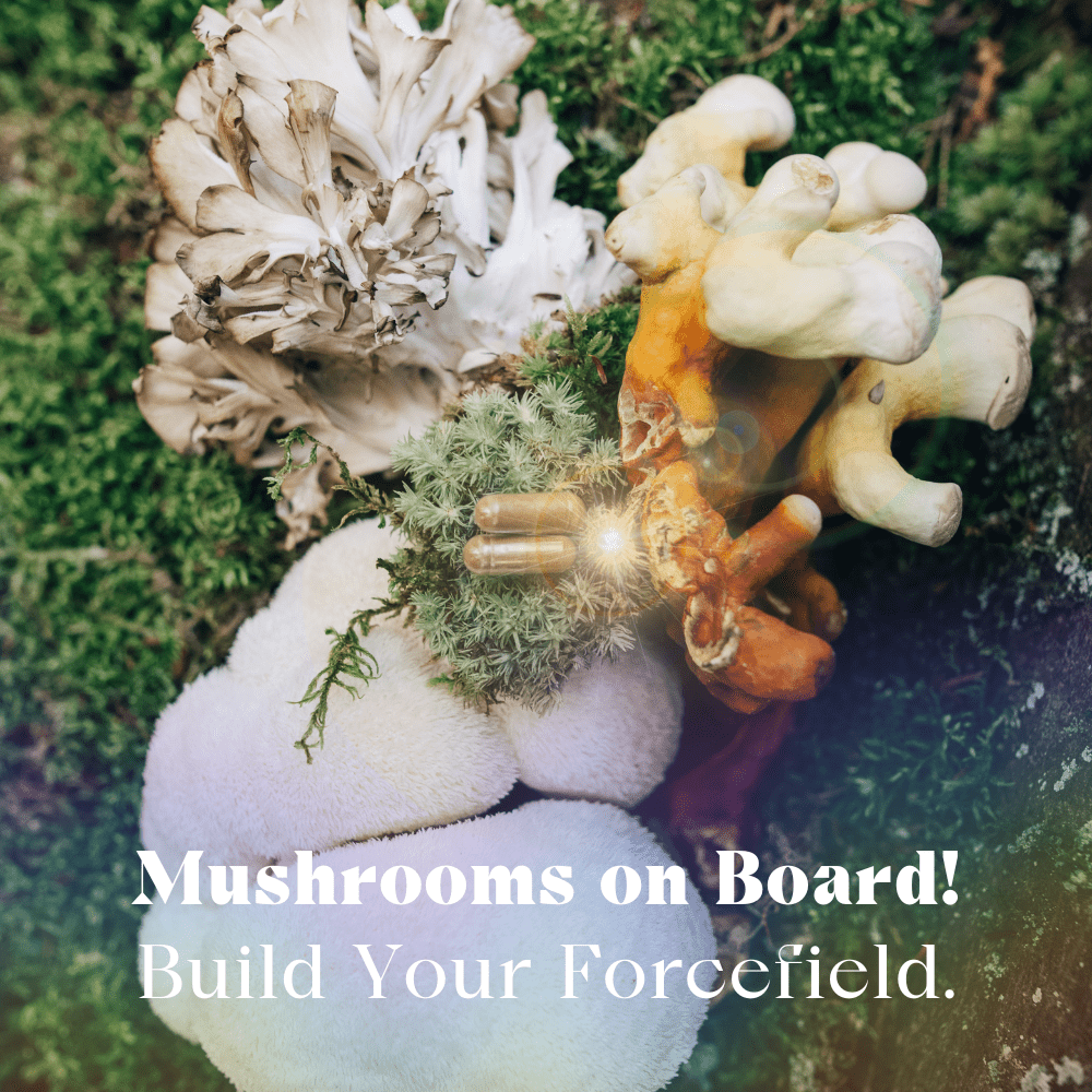 Urban Moonshine Mothership Mushroom