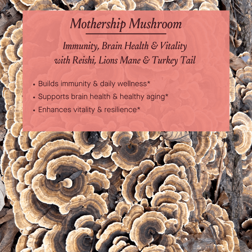 Urban Moonshine Mothership Mushroom