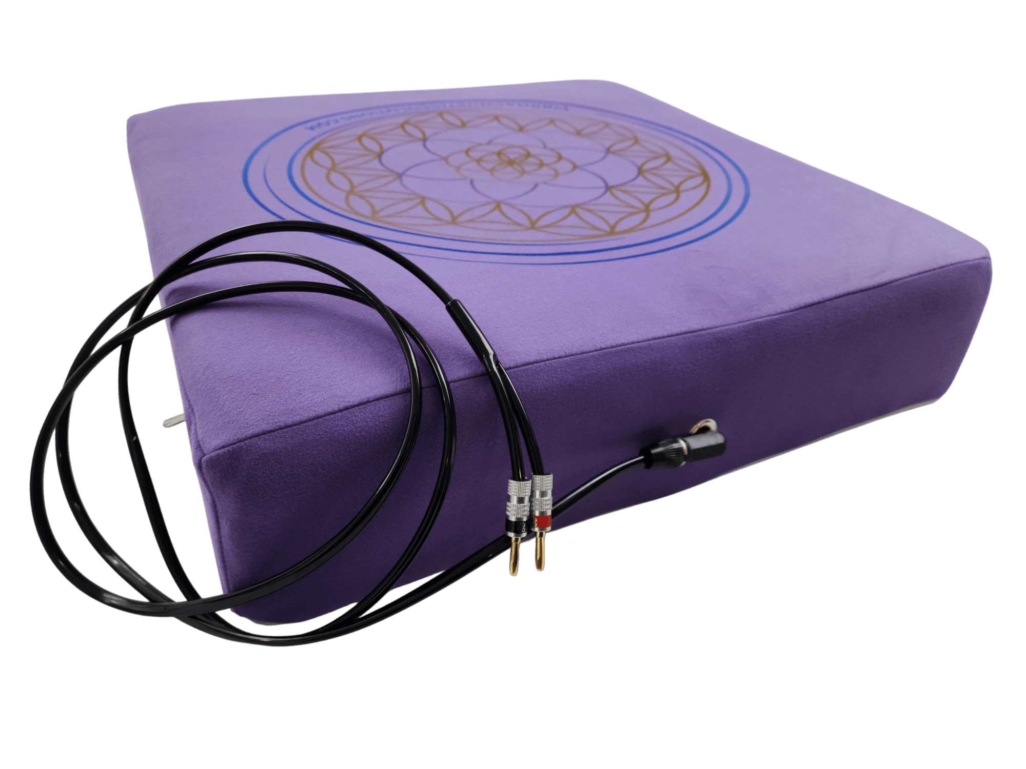 Vibroacoustic Solutions Vibroacoustic Therapy Meditation Cushion bundle with custom amplifier