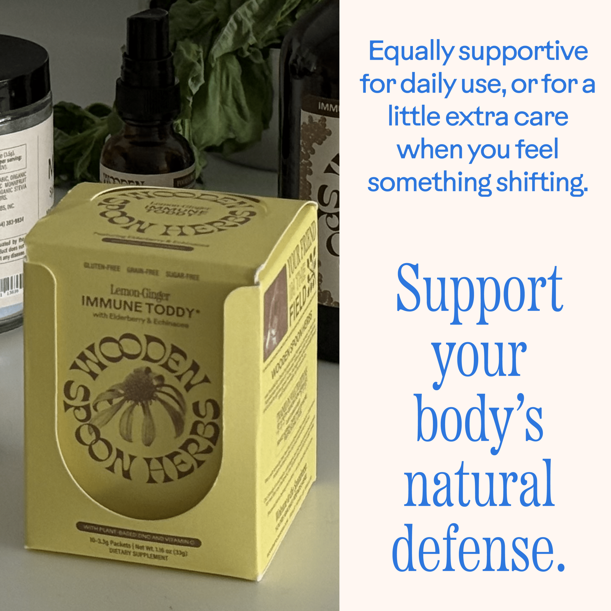 WOODEN SPOON HERBS Lemon-Ginger Immune Toddy